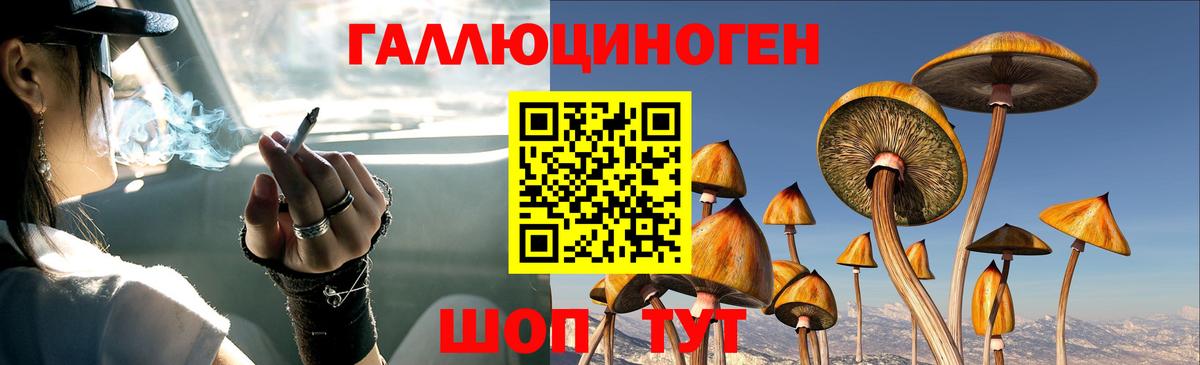 Галлюциногенные грибы Cubensis Ипатово